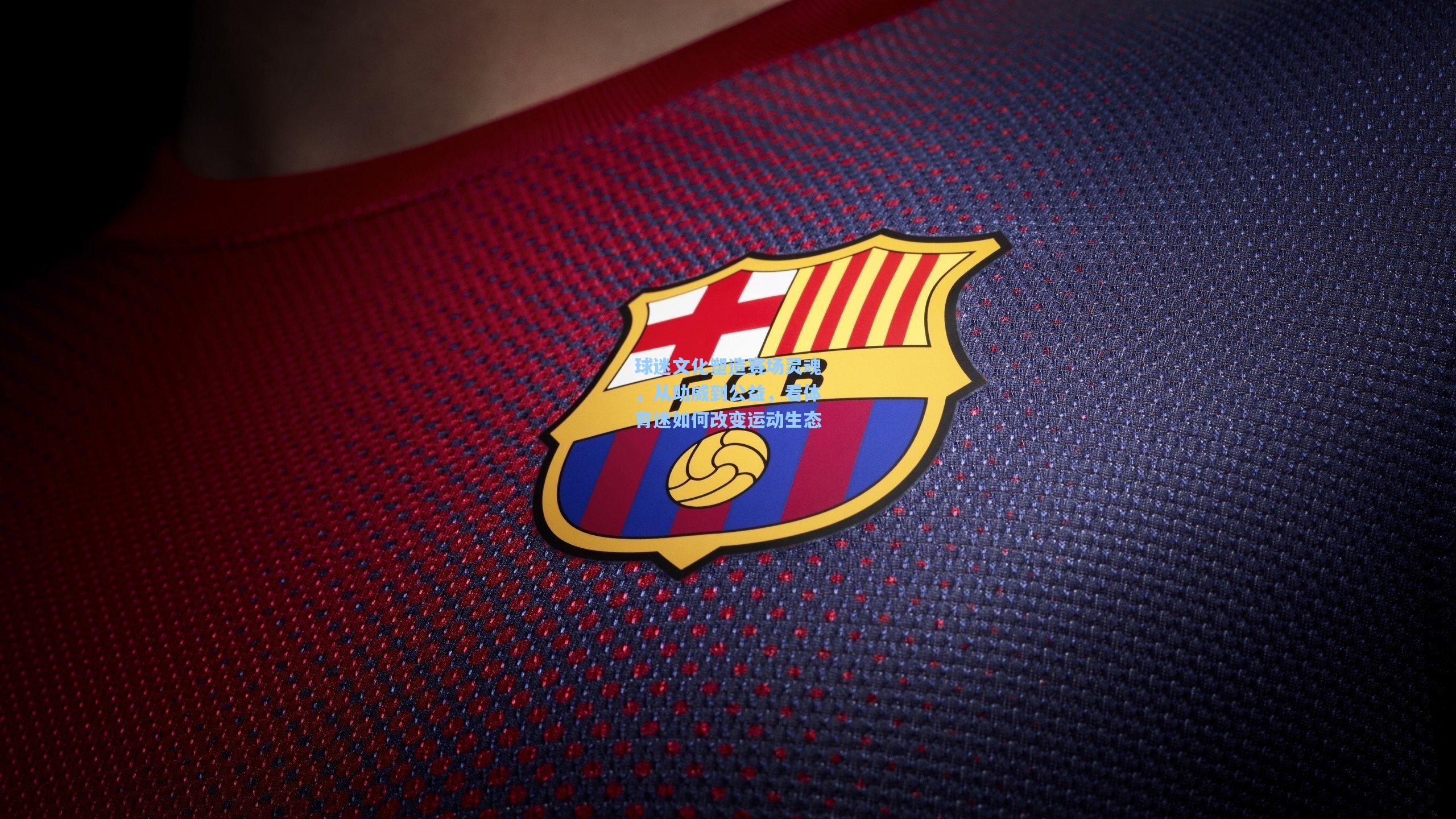 球迷文化塑造赛场灵魂，从助威到公益，看体育迷如何改变运动生态