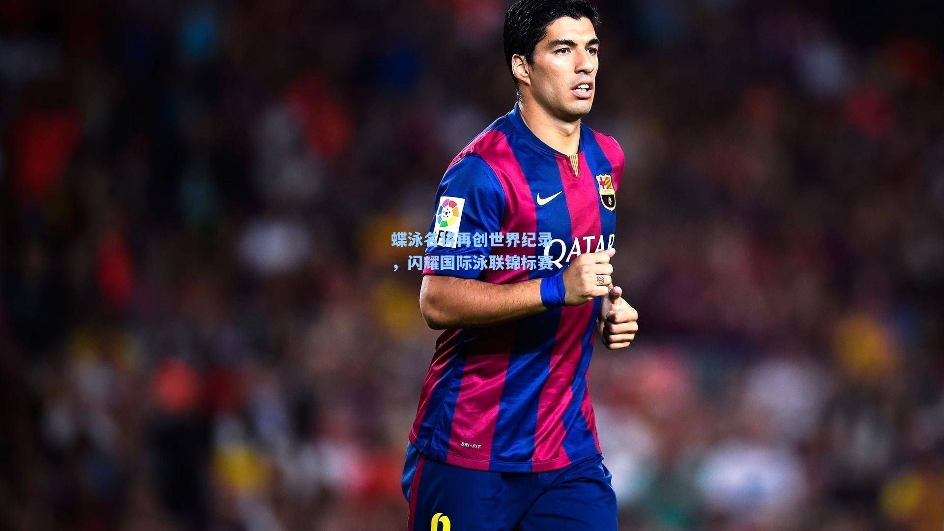 蝶泳名将再创世界纪录，闪耀国际泳联锦标赛