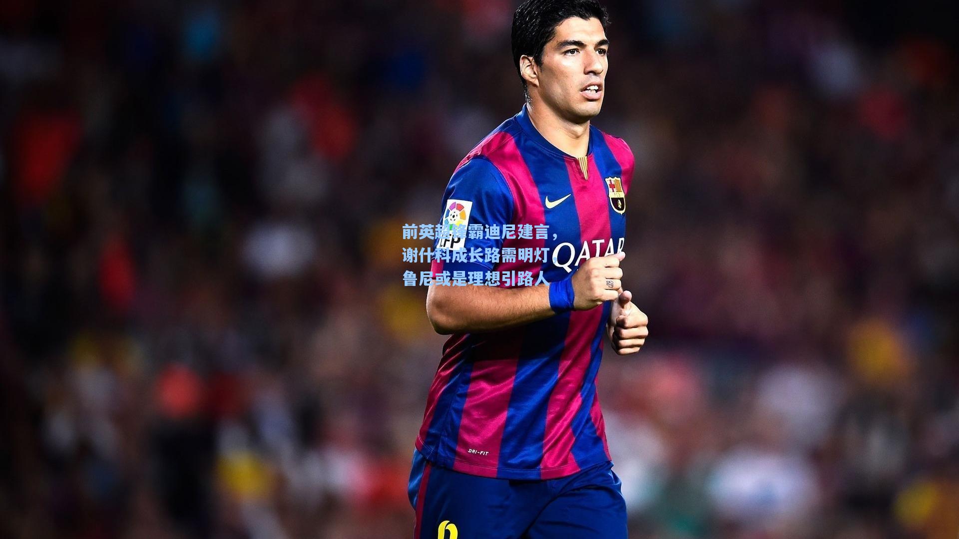 前英超锋霸迪尼建言,谢什科成长路需明灯,鲁尼或是理想引路人