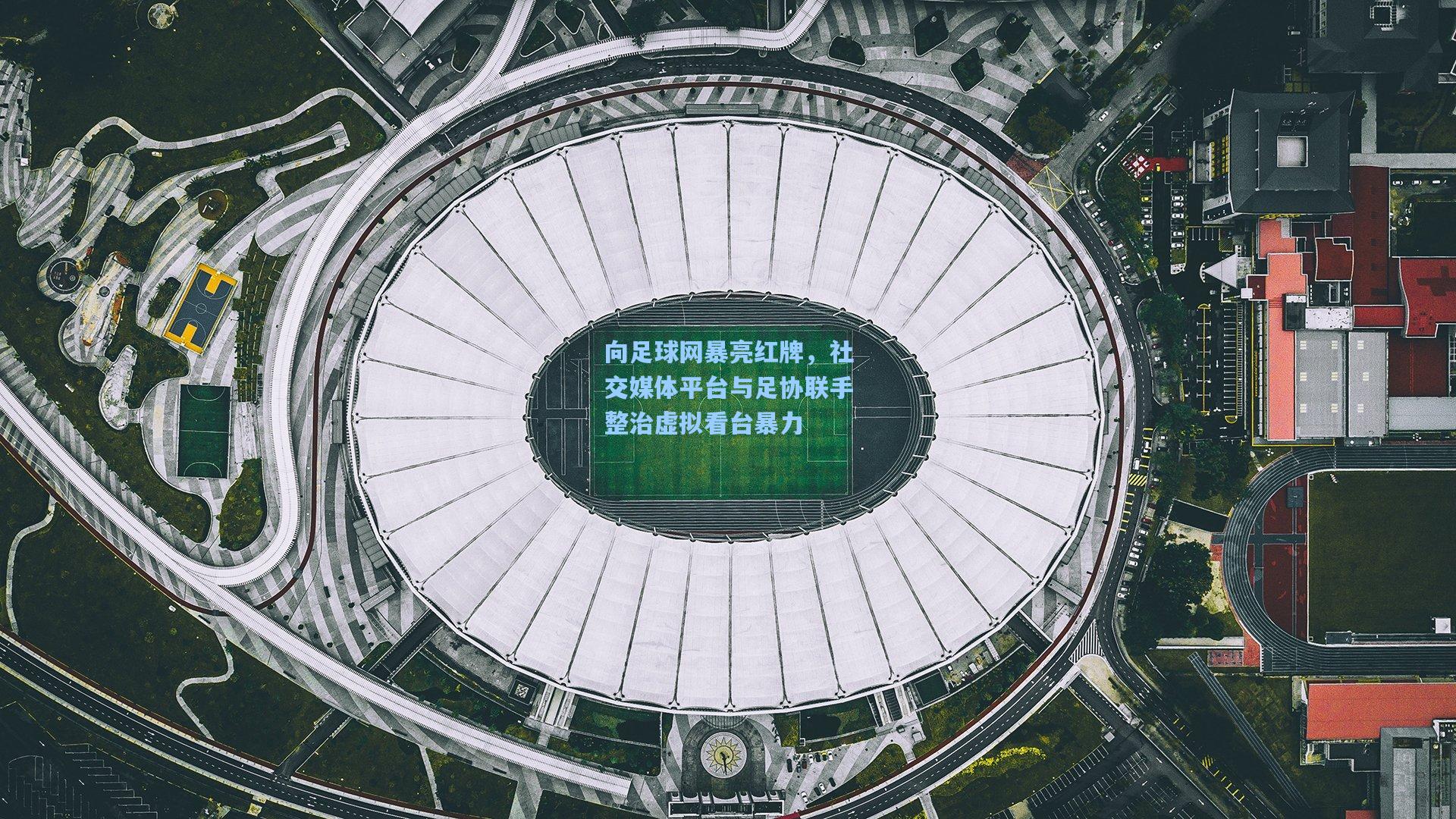 向足球网暴亮红牌，社交媒体平台与足协联手整治虚拟看台暴力