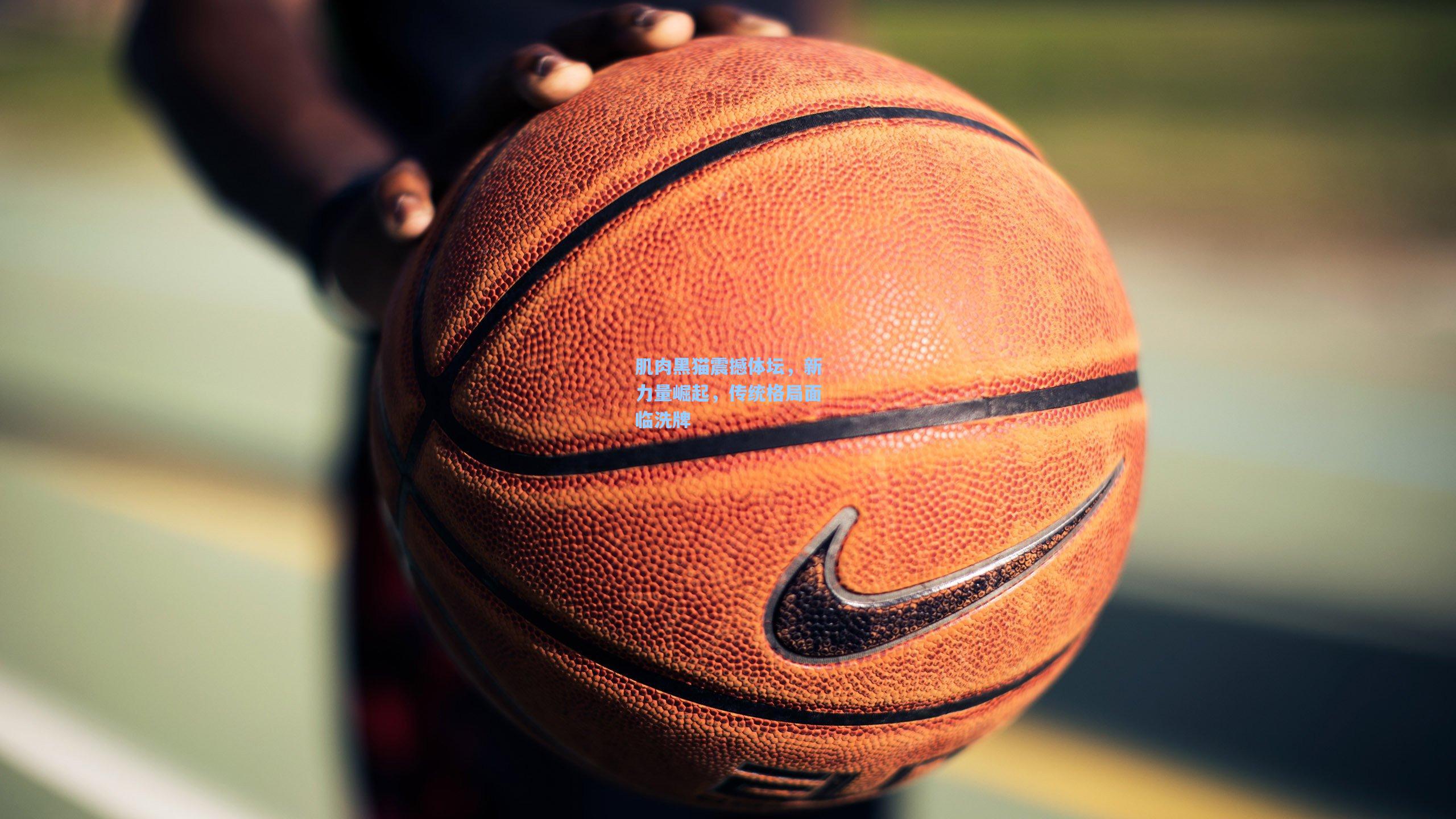 肌肉黑猫震撼体坛,新力量崛起,传统格局面临洗牌