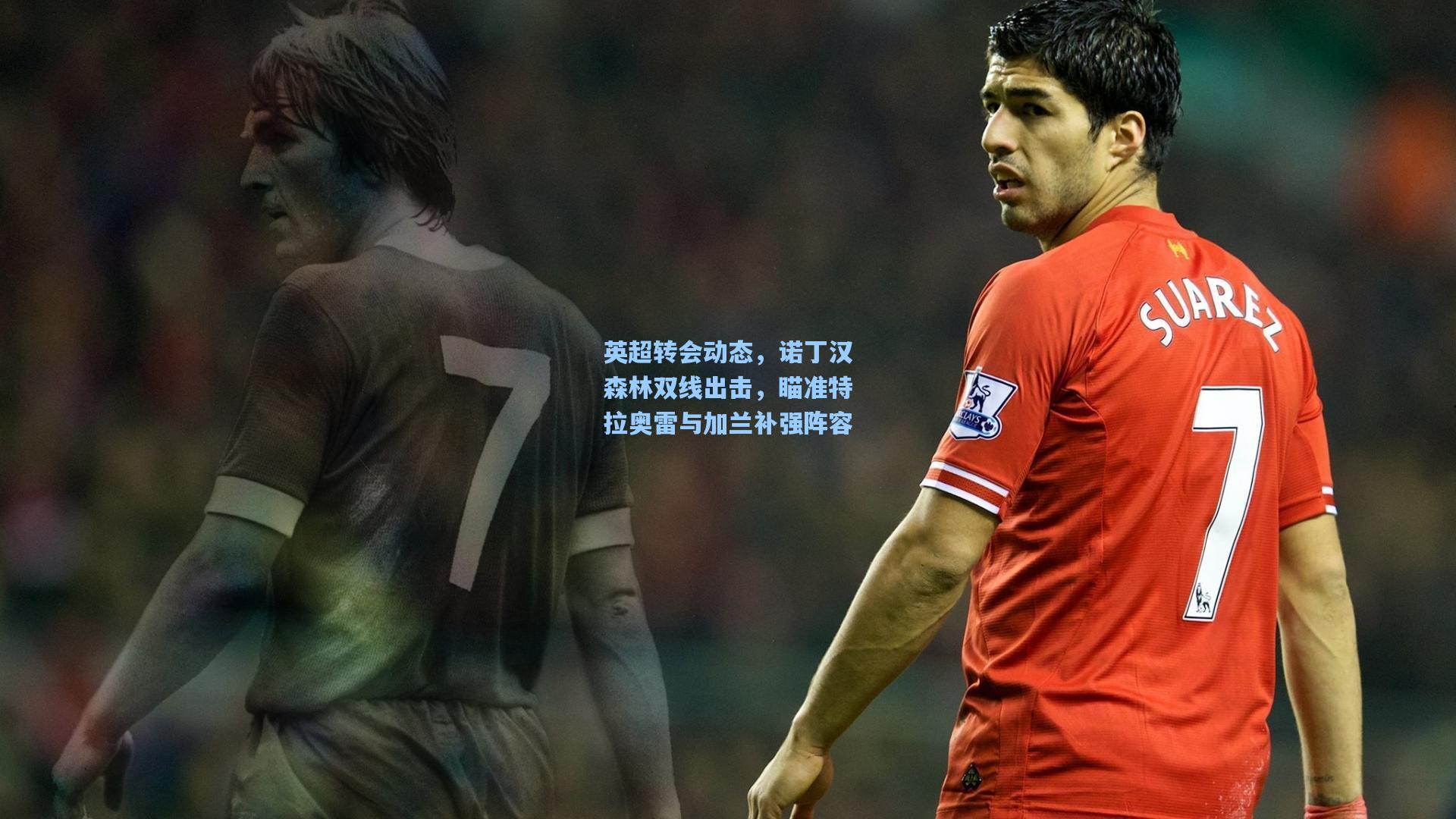 英超转会动态,诺丁汉森林双线出击,瞄准特拉奥雷与加兰补强阵容